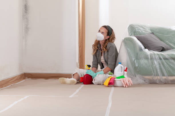 Reliable Mold Remediation contractor in Ashland, NJ by Car Mold Remediation